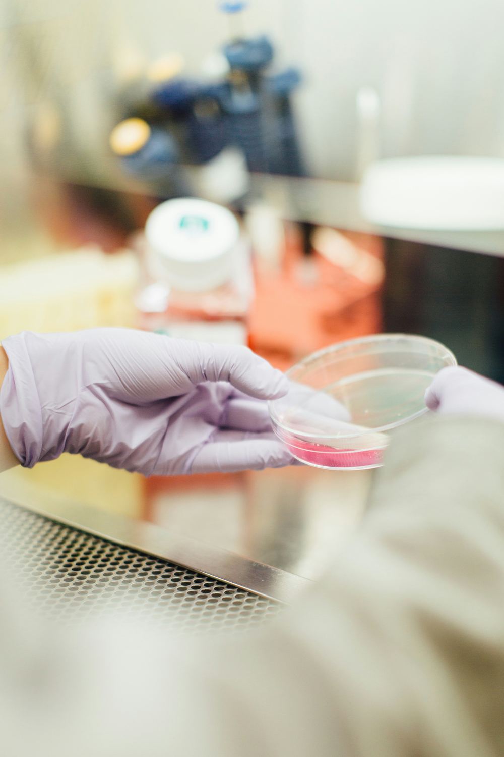 Laboratory sample in a petri dish